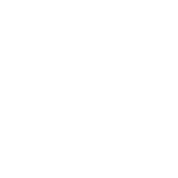 真菌毒素檢測儀